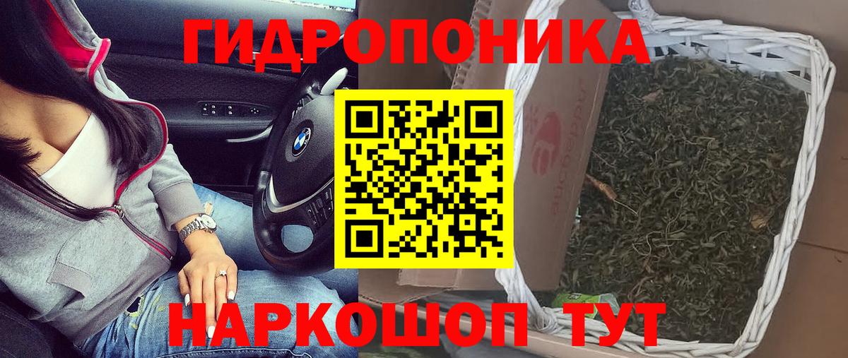 Канабис семена  Вход с VPN  Бошки Шишки MAZAR  Балаково  Шишки марихуана ГИДРОПОН  Марихуана конопля 
